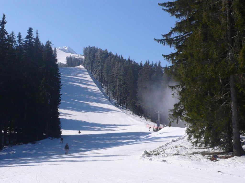 Chalet White Fang Bansko Buitenkant foto